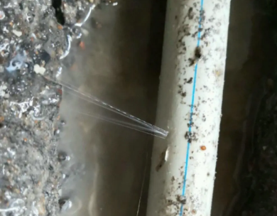 嫩江测漏水哪家好